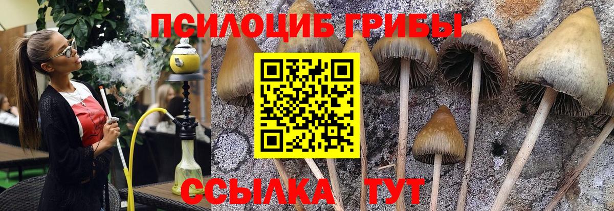 Калуга  Псилоцибиновые грибы прущие грибы  Вход с VPN 