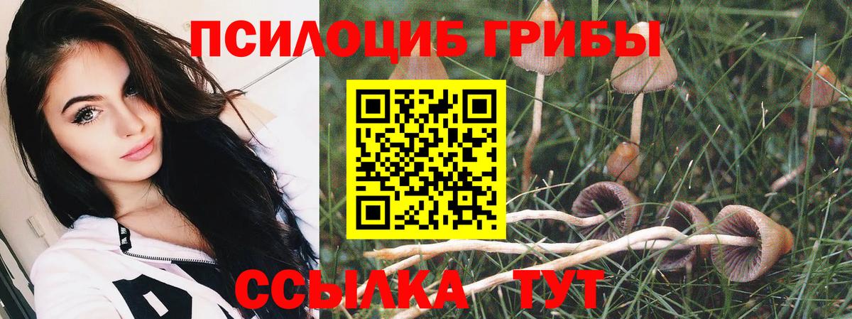 Псилоцибиновые грибы Magic Shrooms Калуга